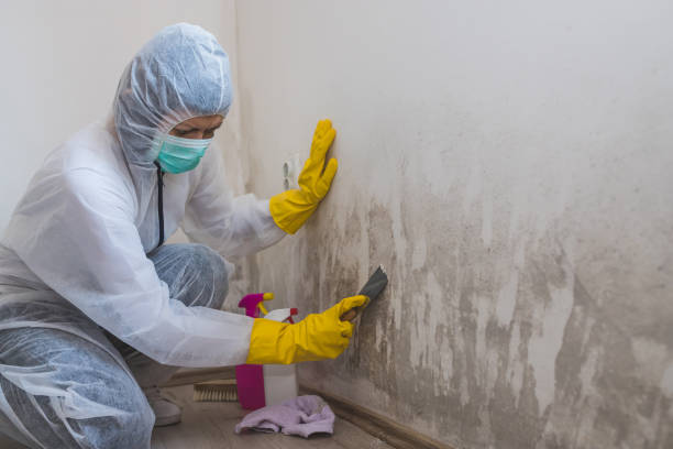 Best Crawl Space Mold Removal  in Hamilton City, CA