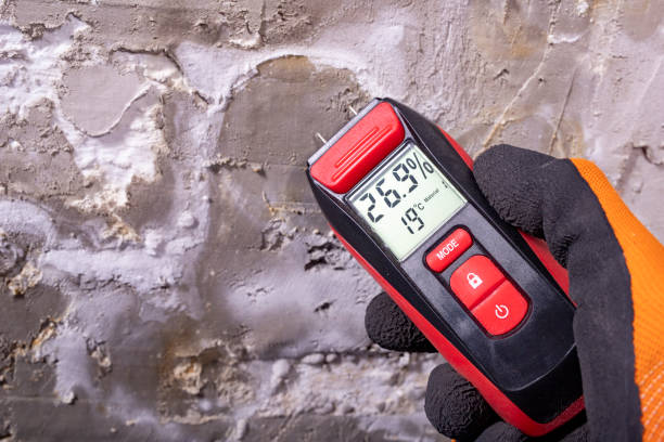 Mold Testing and Removal in Hamilton City, CA