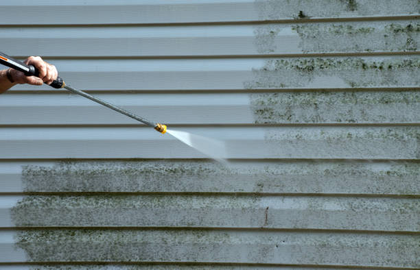 Best Office Mold Removal Services  in Hamilton City, CA