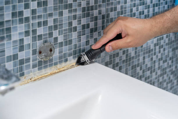 Best Mold Remediation  in Hamilton City, CA