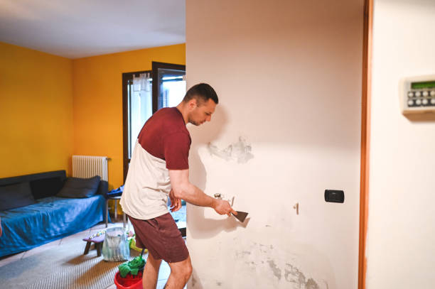 Best Black Mold Removal  in Hamilton City, CA