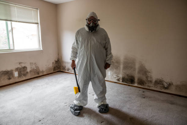 Best Commercial Mold Removal  in Hamilton City, CA